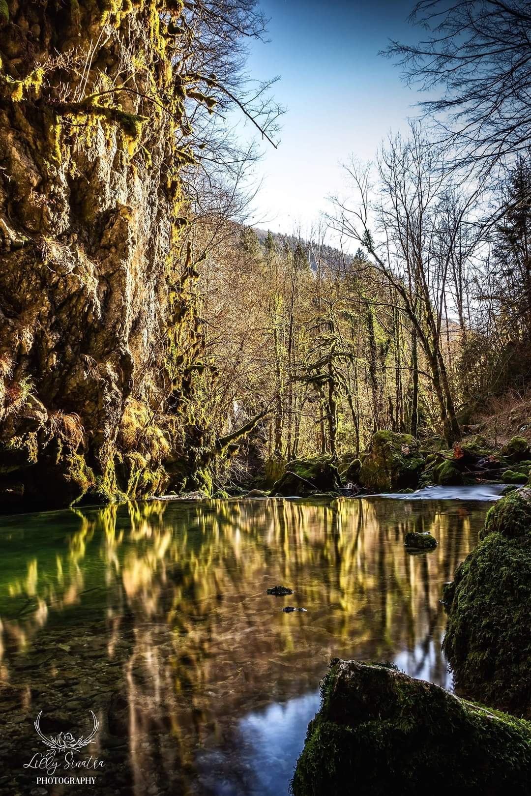 Ambiance naturelle du Jura et inspiration artisanale