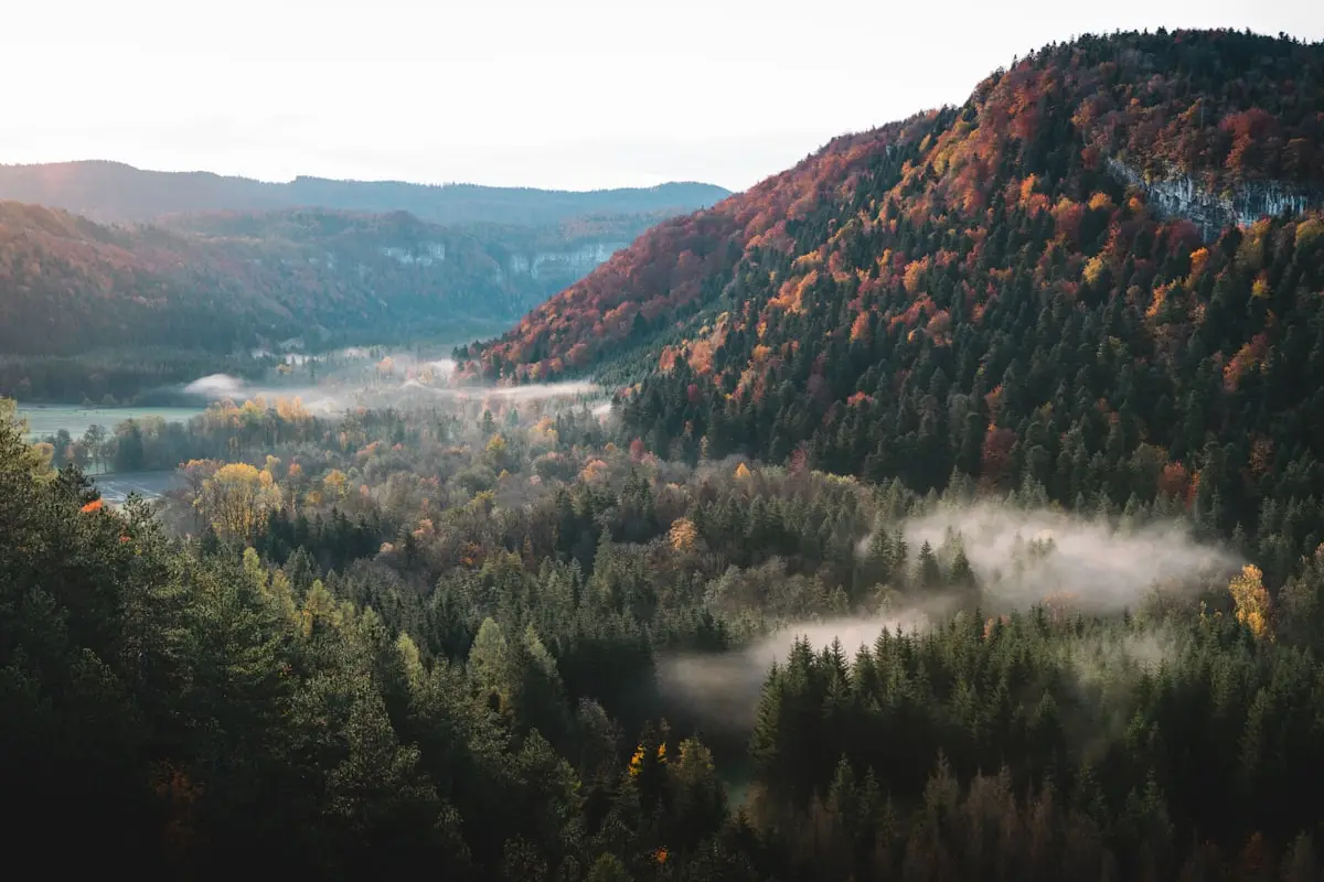 Paysage du Jura, source d'inspiration pour Moon Lys Création